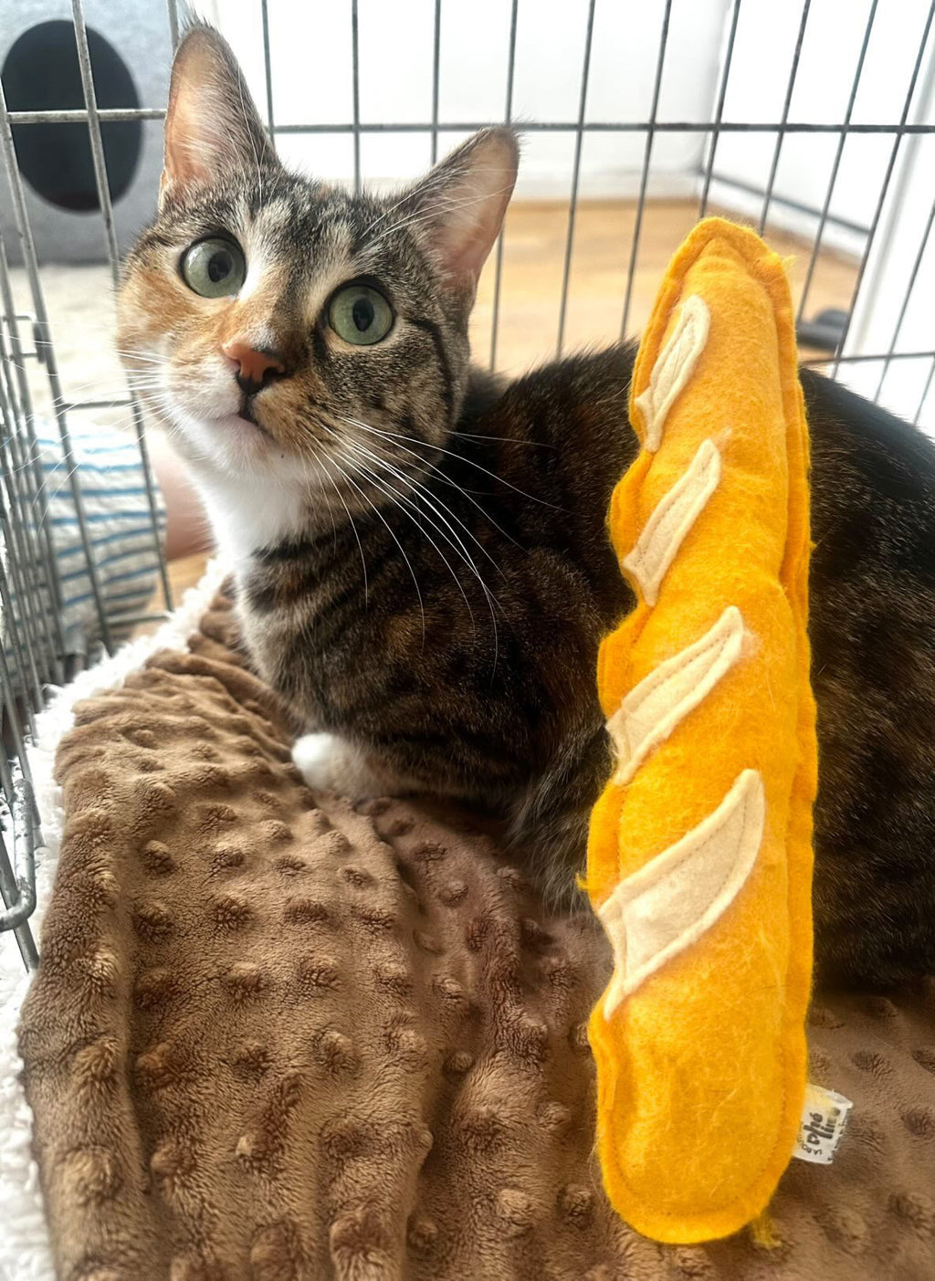Jouet baguette pour chat vue de cote feutrine artisanale collection ete - La Boutique Pheline