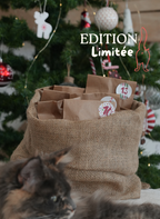 Hotte de l'avent pour chat