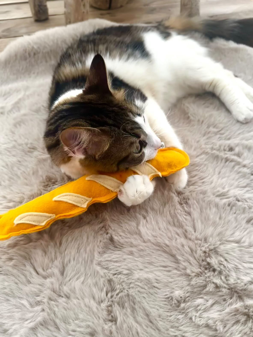 Jouet baguette pour chat ideal bunny kick herbe a chat bio - La Boutique Pheline