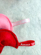 Jouet Saint valentin herbe à chat bio - Fortune cookies