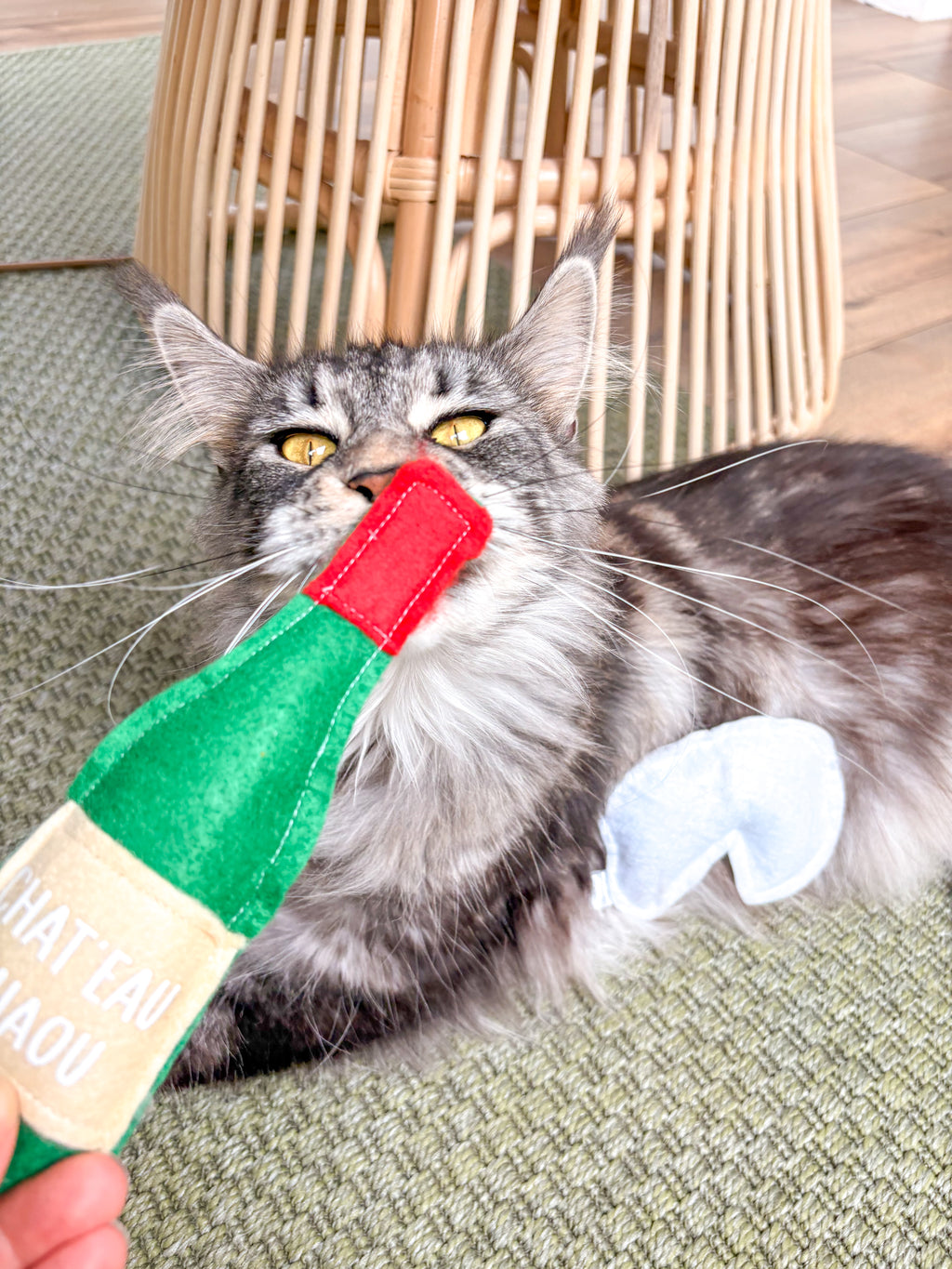 Jouet bouteille de vin pour chat ideal bunny kick herbe bio - La Boutique Pheline