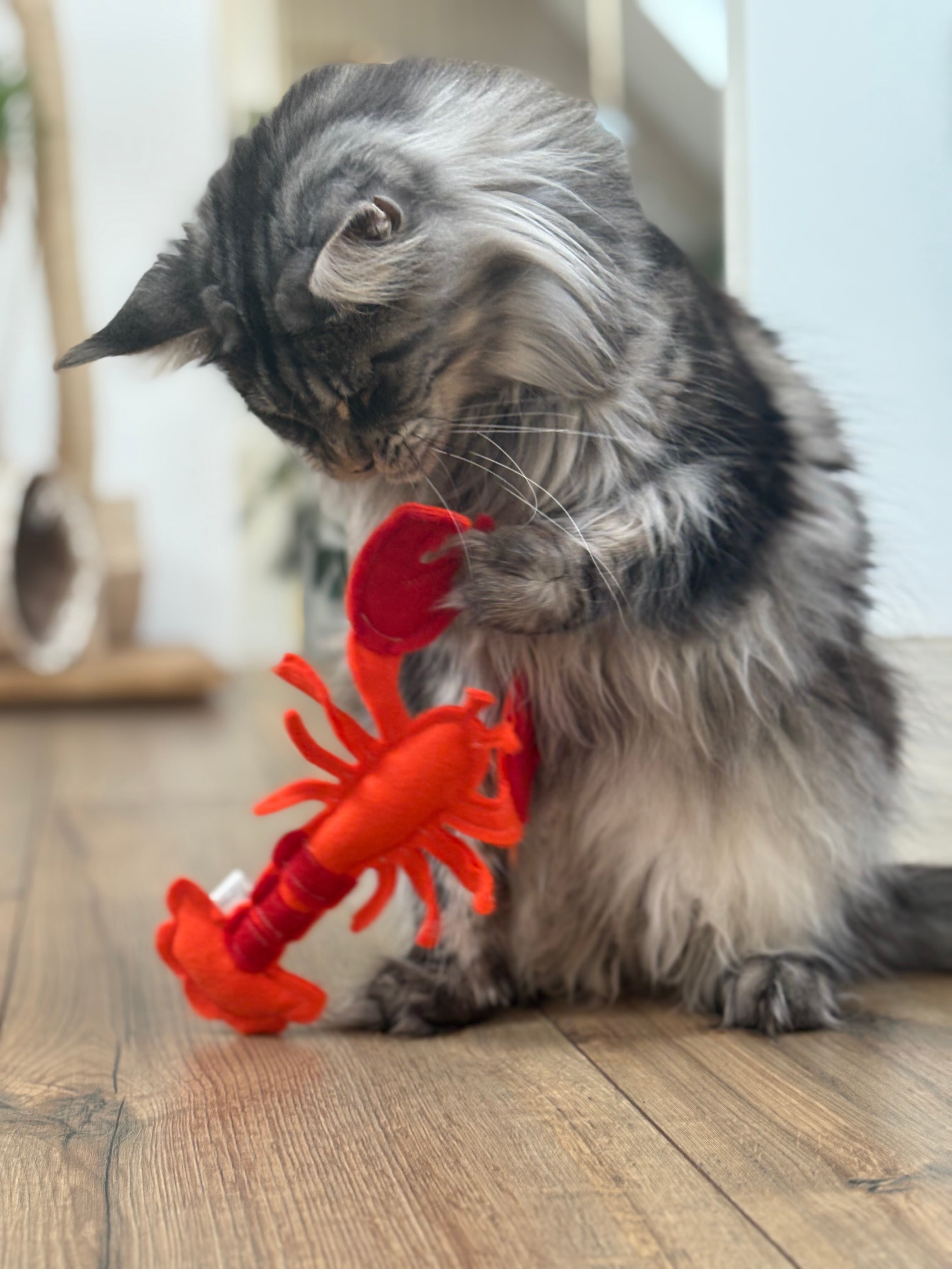 Jouet pour chat - Homard