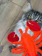 Jouet pour chat - Homard