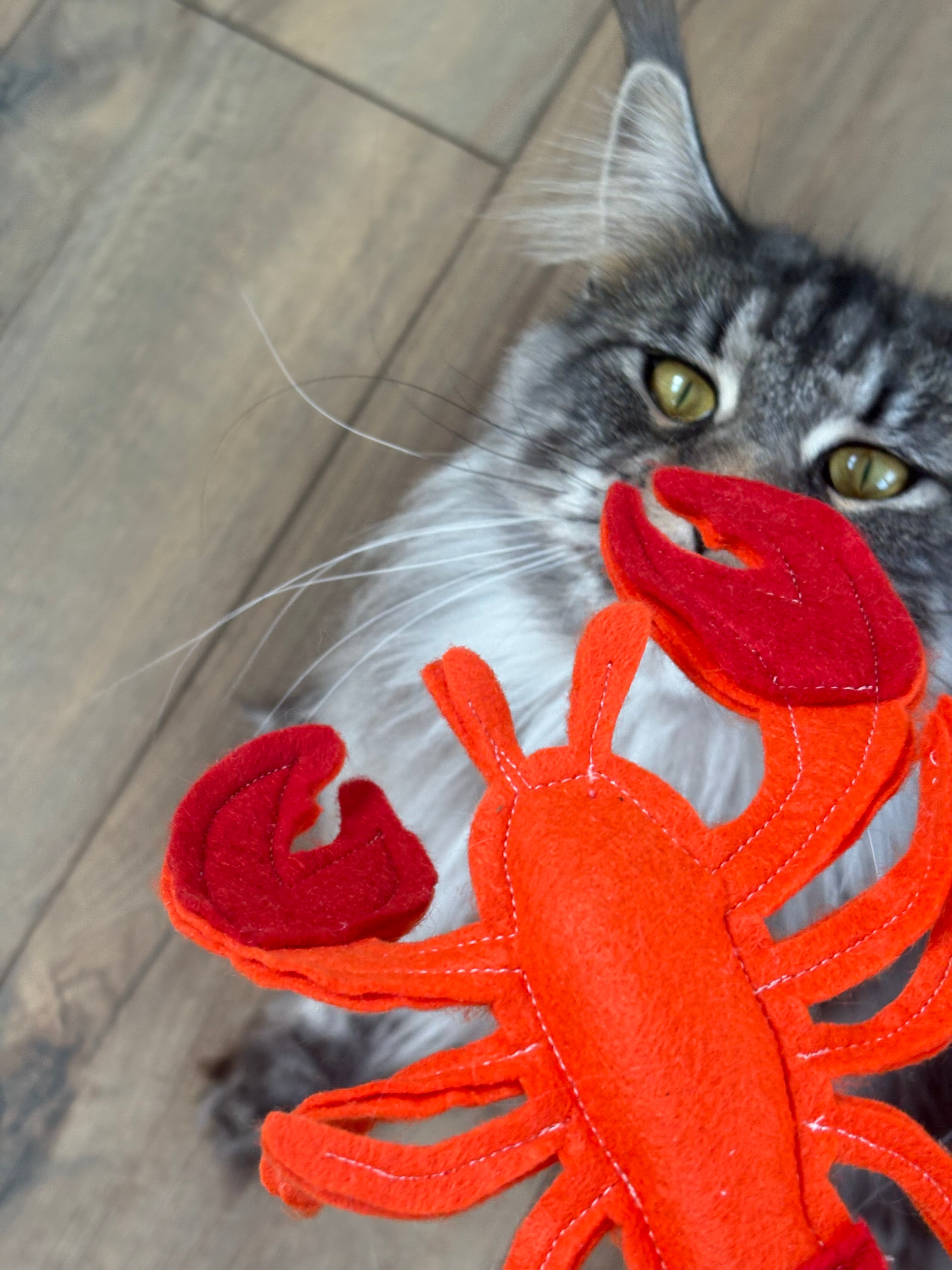 Jouet pour chat - Homard