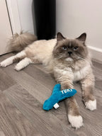 Doudou Chat'lettre