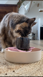 Gamelle interactive pour chat ANTI-GLOUTON évolutive