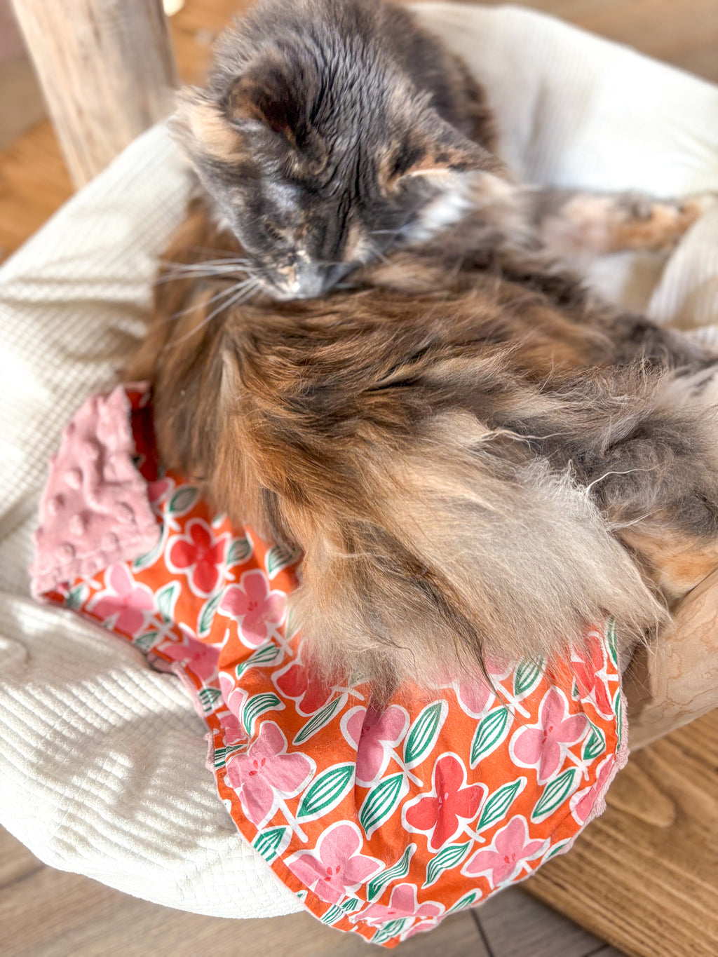 Couverture pour chat douce