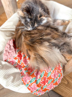 Couverture pour chat douce