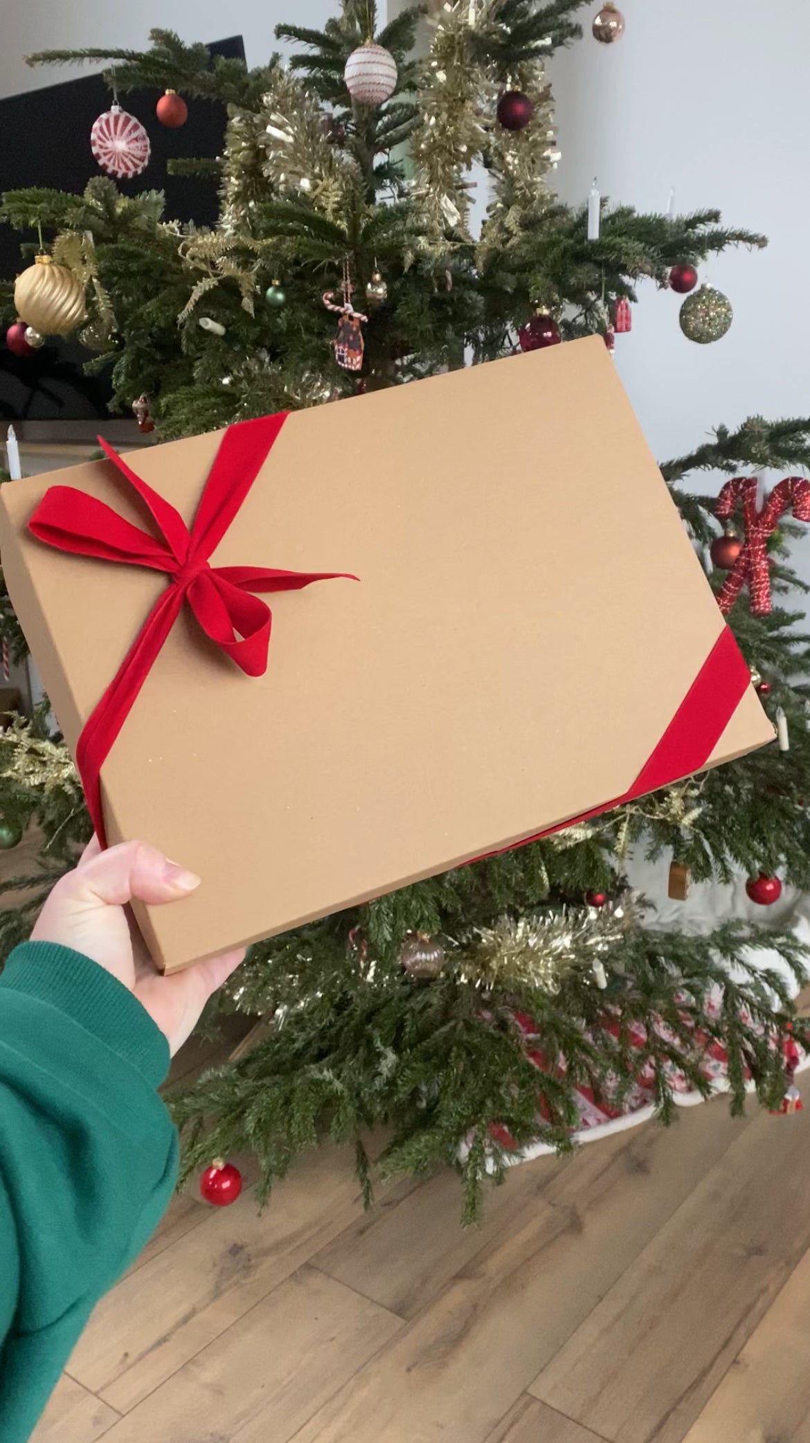 Calendrier de l'après - Cadeau pour chat