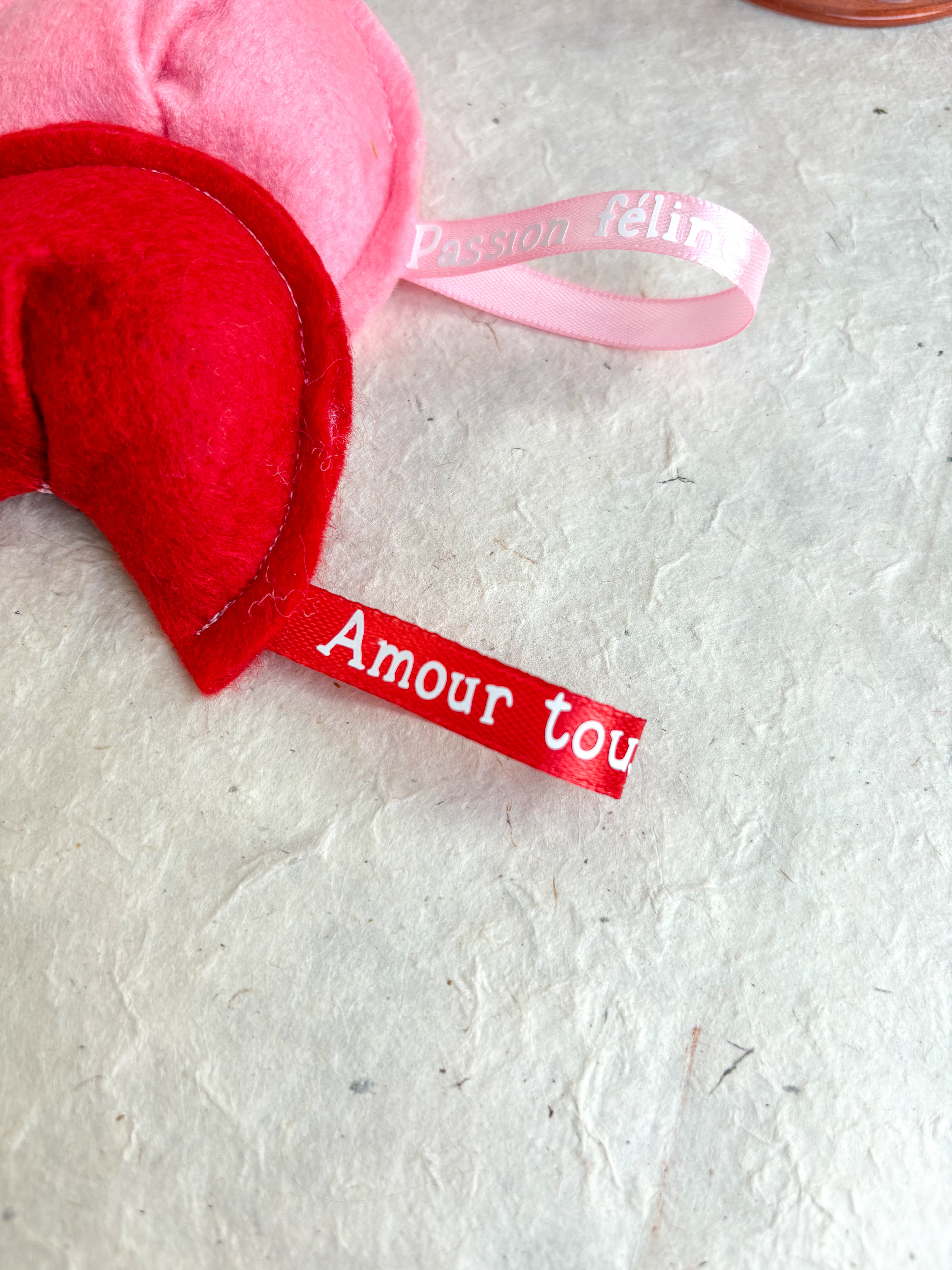 Jouet Saint valentin herbe à chat bio - Fortune cookies