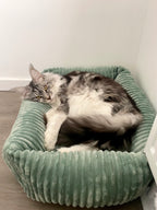 Panier pour chat moelleux