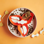 vue de haut avec croquettes gamelle ludique spin petdreamhouse orange en forme de fleur 
