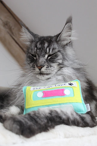 Jouet pour chat – Cassette cat-tape