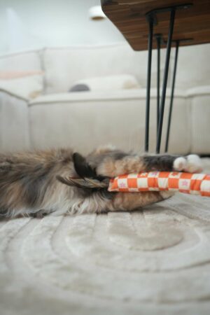 Jouet pour chat - kicker XL – Image 5